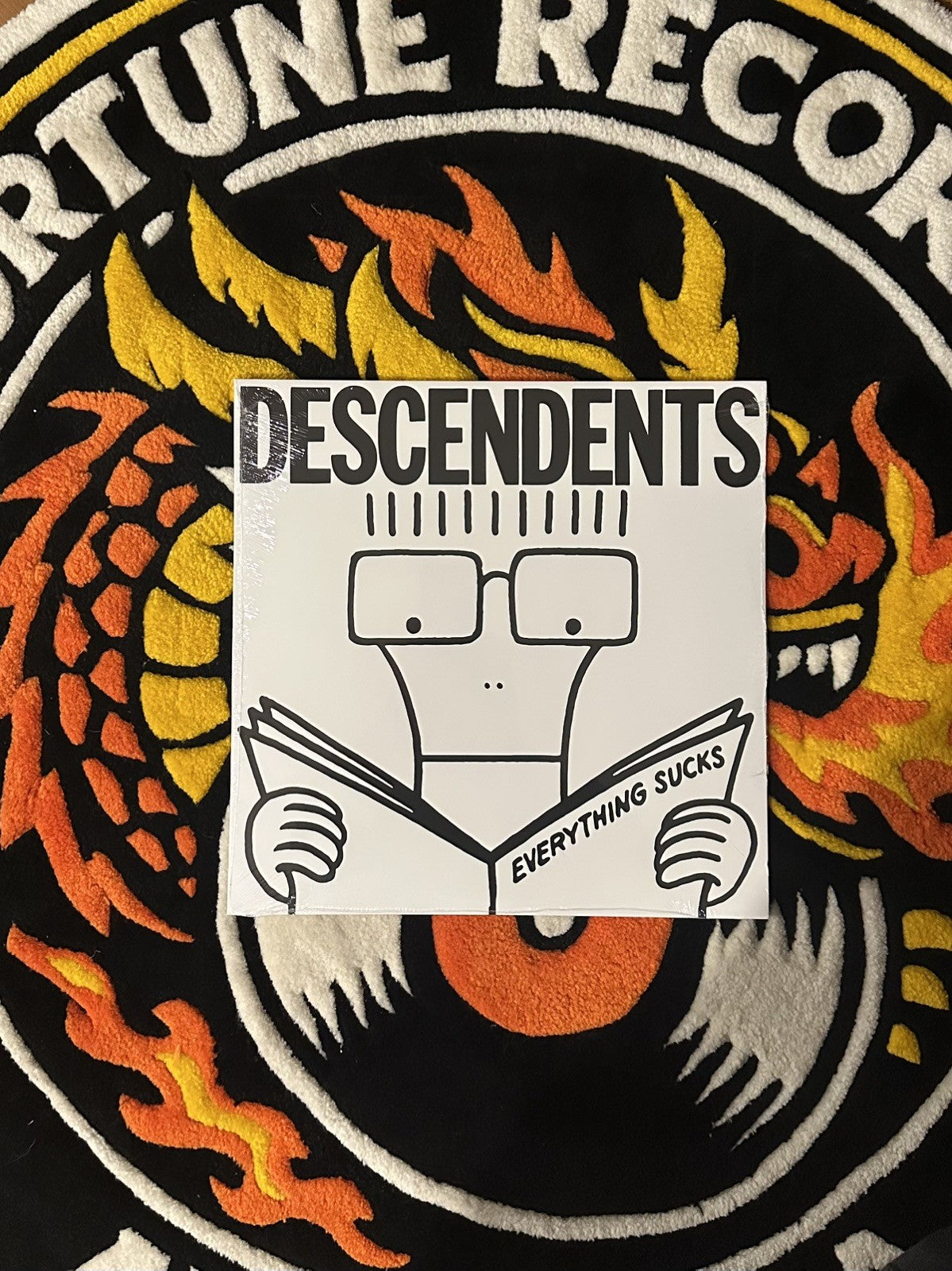 Descendents - Everything Sucks Vinyl LP